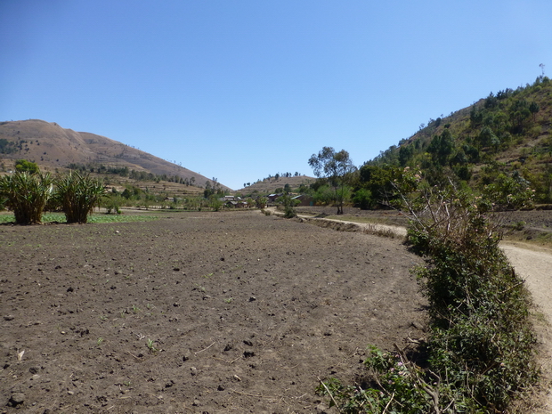 Dome Ambasy village Mazarivo