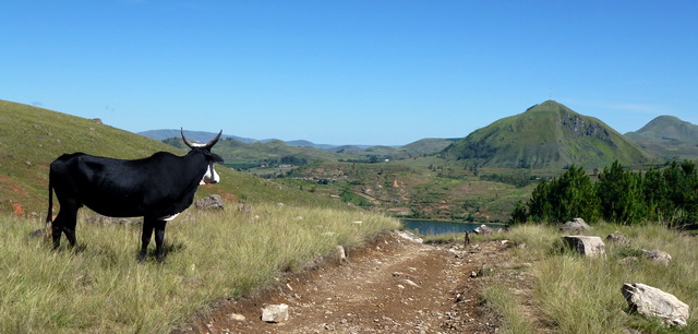 lac Ilempo