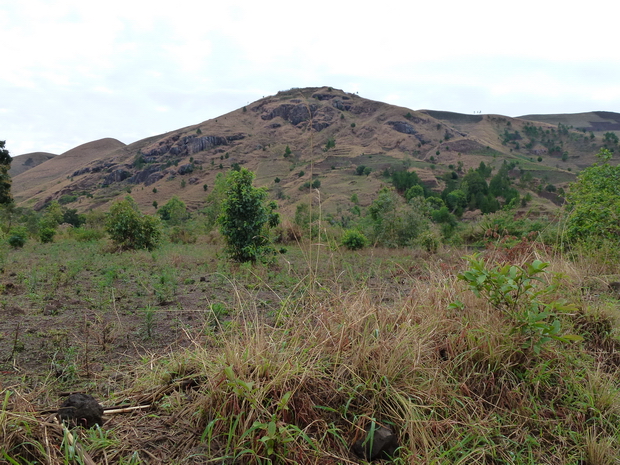 massif Ambohitromby sur la piste de Mananasy