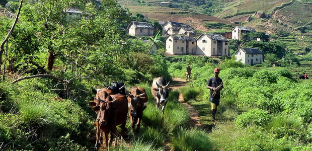 village Andohasa