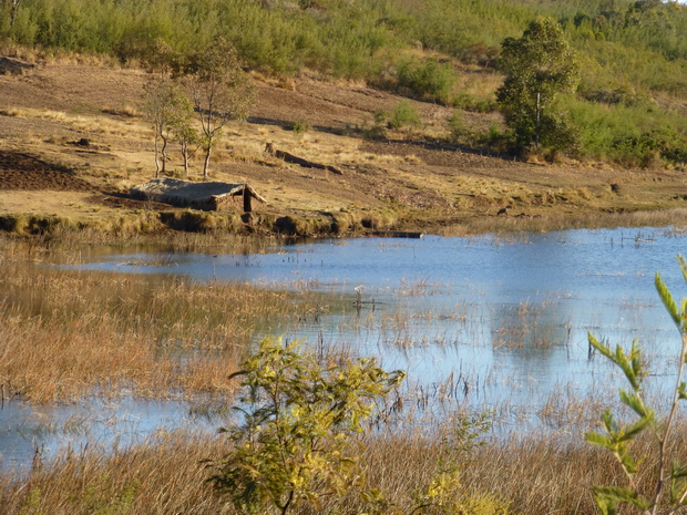 région des lacs, lac Dangobe