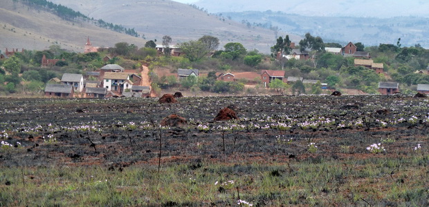 Village Manjakavaradrano