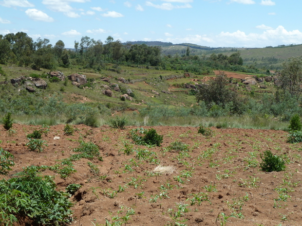 Ambohivatokely 'la colline aux petites pierres'