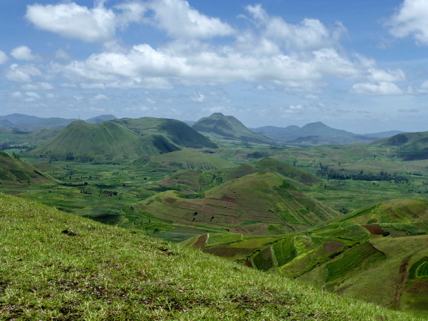 au sud Betahezana Ngilofotsy Andranonatoa