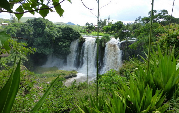 chutes de la lily