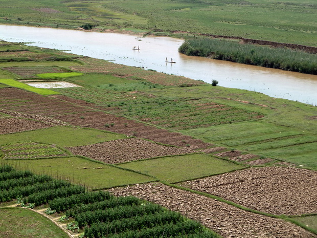 culture maraichère le long de l' Ikopa