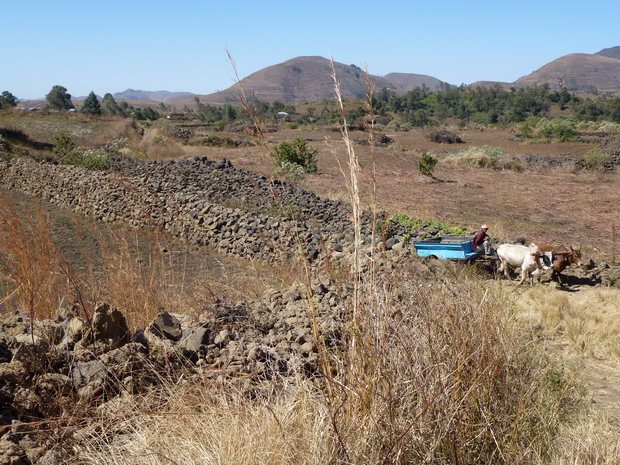 pierres volcaniques