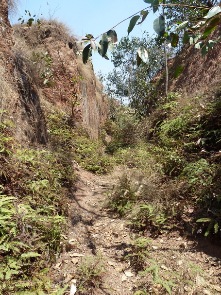 fossés Merimerina