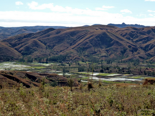 la plaine Ifanja