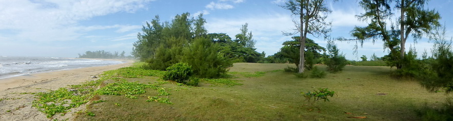 Circuits Manakara : loharano plage