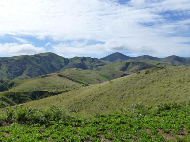 Au Sud le Massif dentelé du MAHAKIRINGY et derrière surmonté de 2 antennes le fameux AMBOHIMIANGARA