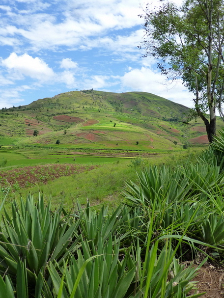 massif Fiadanana