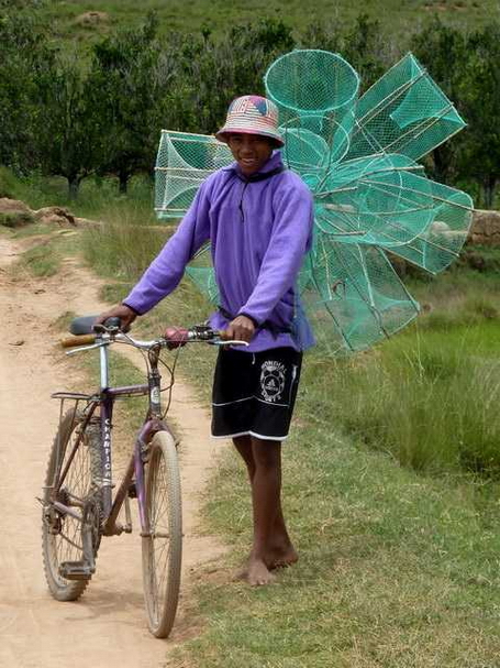 un papillon mauve et son vélo mauve ??