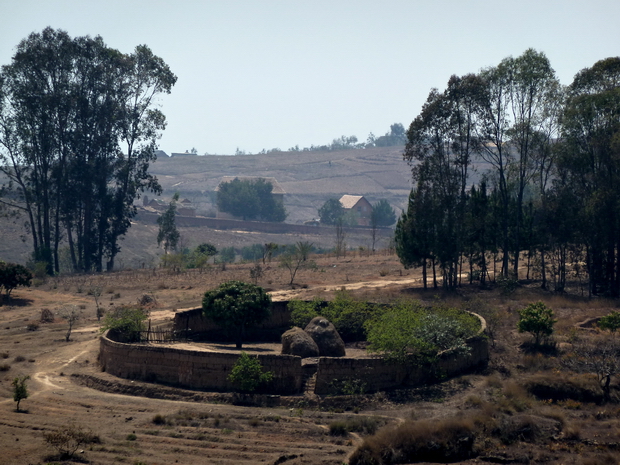 parc à zébus protégé par un mur de terre " tamboho "