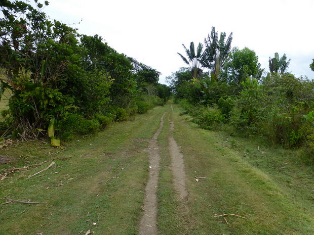 piste herbeuse