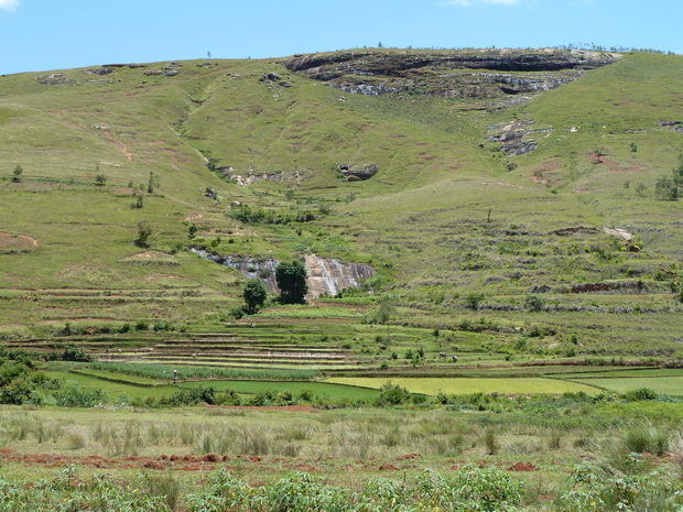 cultures en rizières au pied du massif