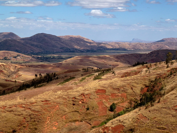 rizières de la plaine Ifanja