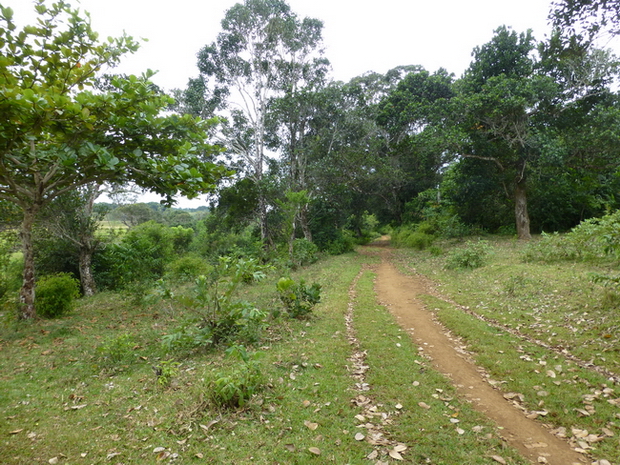 sentier randonnée