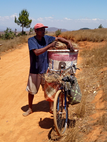 Sur le vélo plus de 1200 oeufs à transporter sur le marché de Mahitsy