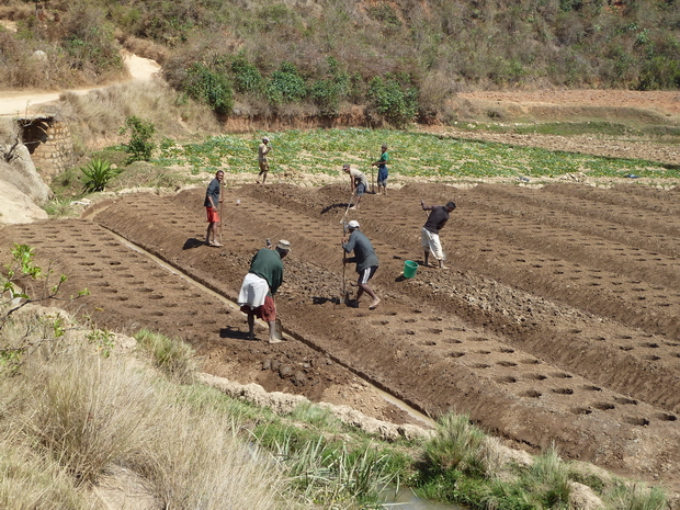 travail de la terre