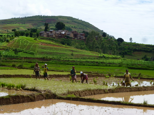 village Ambohimasina