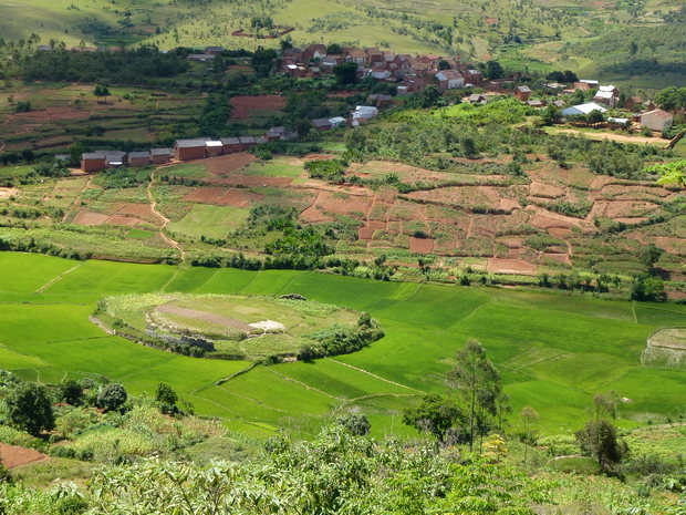 Village Andranosoa au premier plan ilot dans la rizière avec les vestiges d' un tamboho