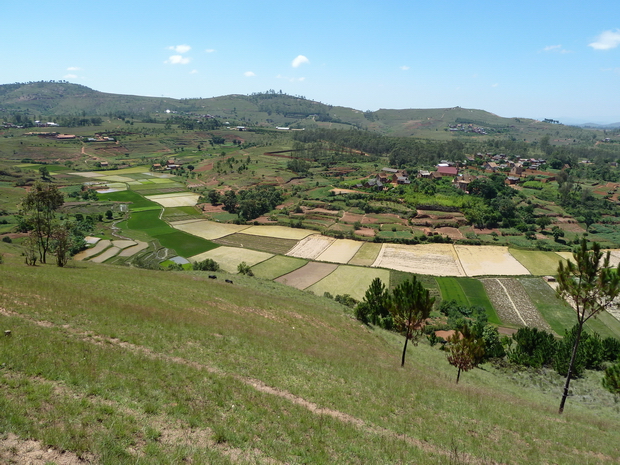 Antanety derrière le rova Ambohimanoro