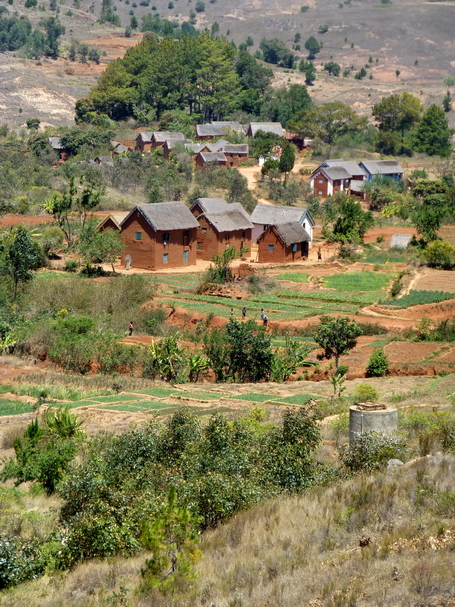 Maisons traditionnelles au toit de bozaka (herbe)