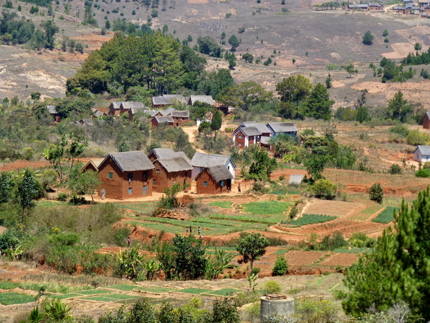 Maisons traditionnelles au toit de bozaka (herbe)