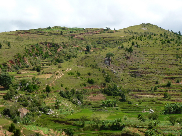 AMBATONANDRIANA 1453 m ......AMBOHIBOLA 1494 m