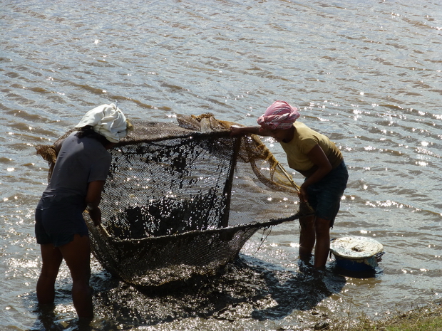 pêche à la crevette foza orana