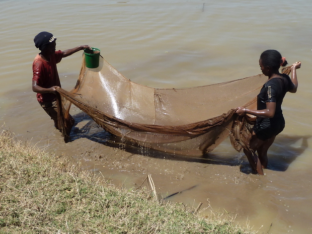 pêche de la crevette noire " fozaorana