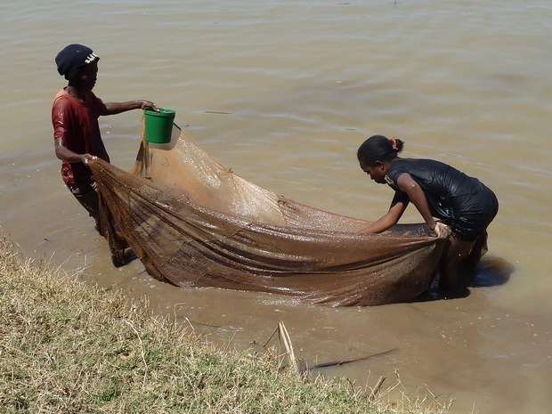 pêche de la crevette noire " fozaorana