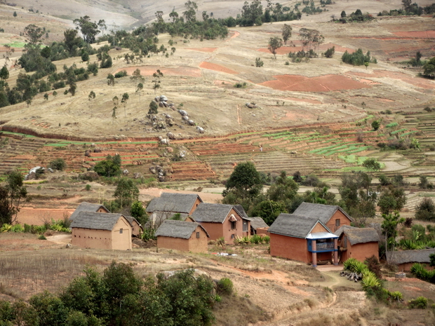 maison traditionnelle malgache aux toits de bozaka ( herbe )