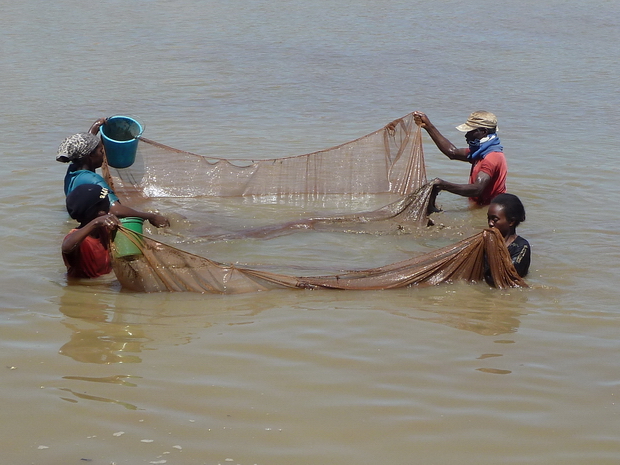 pêche de la crevette noire " fozaorana