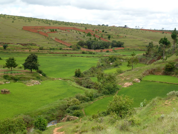 Rivière Andranovato et les murs de terre tamboho