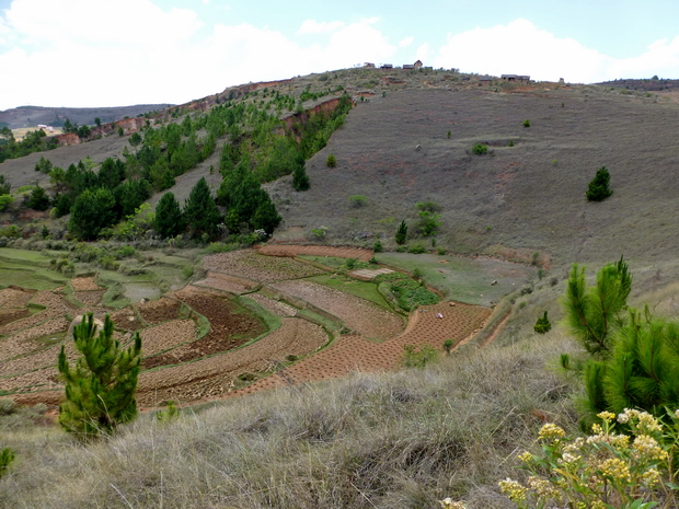 rizières contreforts Ambohidralambo