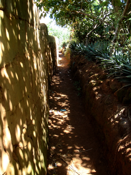 ruelle ombrée