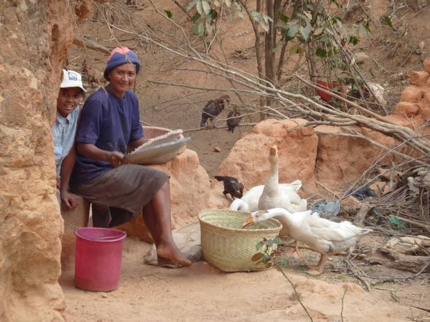 maman trie le riz avec le sahafa