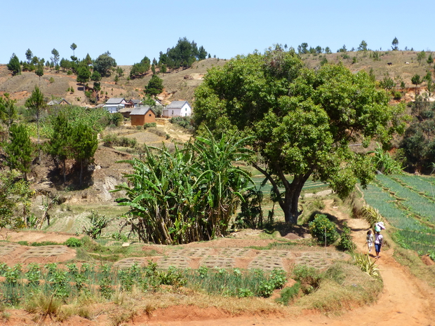 village et rizière Antsahalina