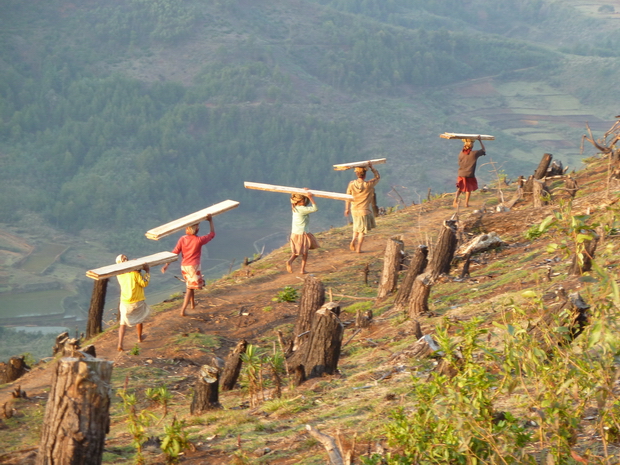 voleuses de planches