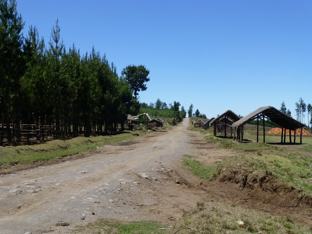 marché à la pomme de terre de Befaritra