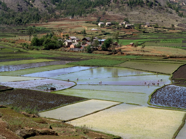 village Ambodivona