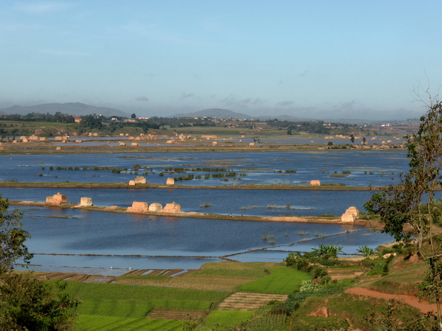 inondations mars 2015 rizières Antanjondroa