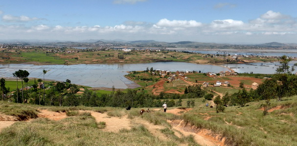 rizières Antsangasanga