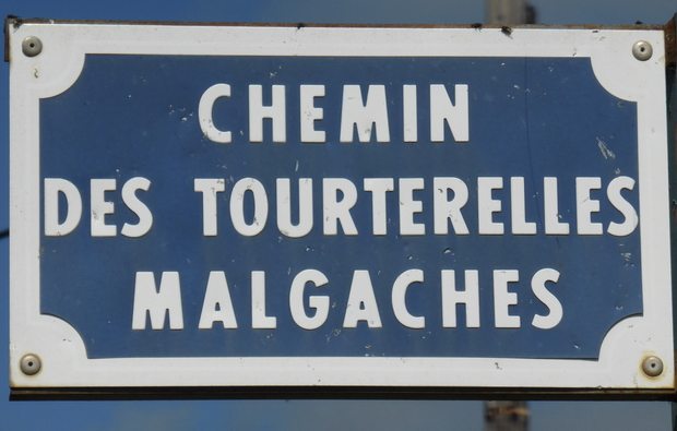 chemin des tourterelles malgaches