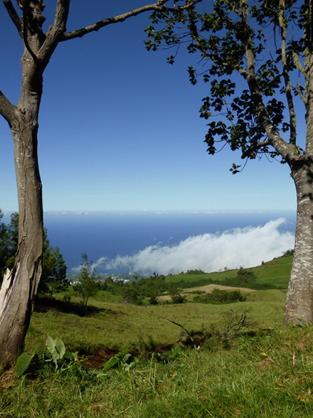 Le Plate du Piton Découverte