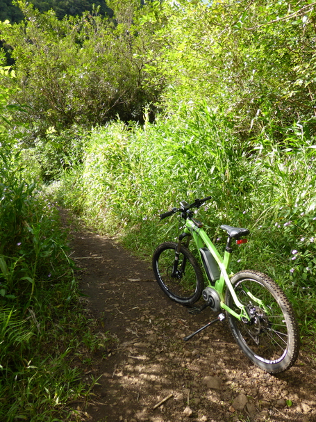 location vtt électrique