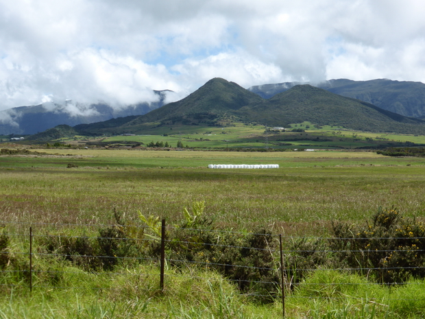 Tour Sud de la Reunion Plaine des Cafres : Piton Bleu Piton Lepervanche