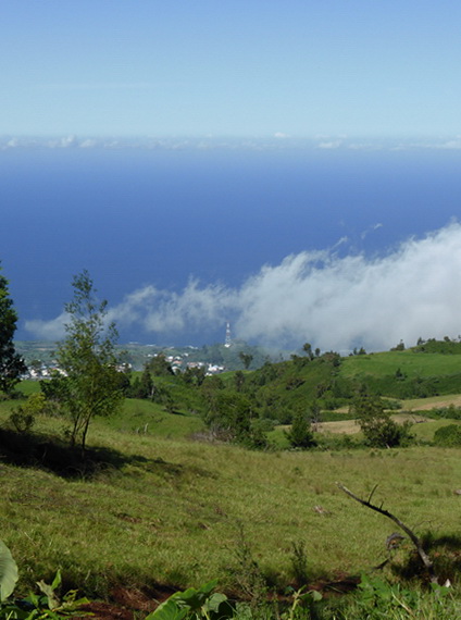 Piton Calvaire de Le Plate du Piton Découverte